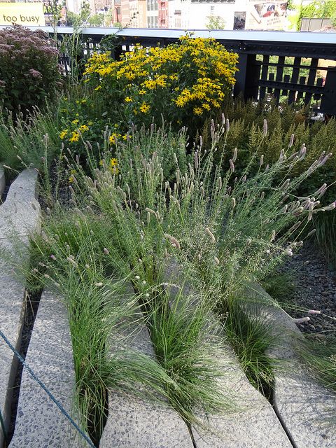 d12f0237aa4608a2fade6e3ef5c1fa7e--garden-grass-pocket-park