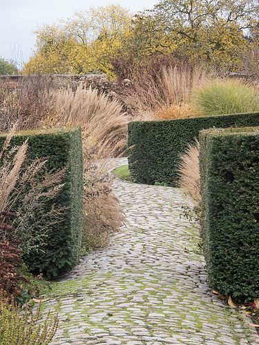 dbcd3a129e5746880e611fe30eb2ee4b--winter-garden-bury