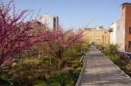 http://oudolf.com/garden/highline